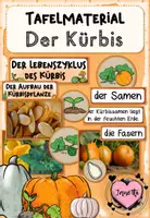 Vorschau - Poster - Tafelmaterial: Der Kürbis (Lebenszyklus & Aufbau) - Deckblatt