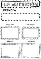Vista previa - Hojas de trabajo - PAQUETE - LA NUTRICIÓN - página 1