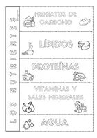 Vista previa - Hojas de trabajo - PAQUETE - LA NUTRICIÓN - página 3