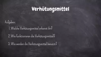 Vorschau - Arbeitsblätter - Familienkonstellationen und Verhütungsmittel (Präsi und AB) - Seite 2