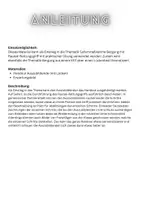 Vorschau - Arbeitsblätter - Handout & Praktische Übung zur Bergung mit Rautek-Griff - Seite 1