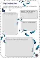 Vorschau - Arbeitsblätter - Vogel beobachten - Sachthema Vogel - Seite 2