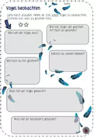 Vorschau - Arbeitsblätter - Vogel beobachten - Sachthema Vogel - Seite 3