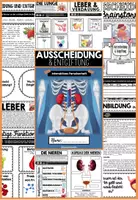 Vorschau - Unterrichtsreihen - Ausscheidung & Entgiftung BUNDLE - Der Mensch + 5 Ausscheidungsorgane | digital + analog | sofort einsatzbereit - Seite 3