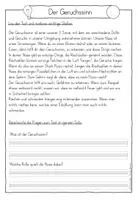 Vorschau - Stundenentwürfe - Arbeitsheft Die Nase Geruchssinn Unsere 5 Sinne - Seite 2