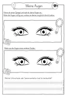 Vorschau - Stundenentwürfe - Arbeitsheft Das Auge Sehsinn Unsere 5 Sinne - Seite 3