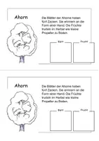 Vorschau - Arbeitsblätter - Laubbäume Arbeitsheft 1.-4. Klasse - Seite 3