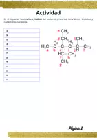 Vista previa - Unidades / Secuencias / Situaciones de Aprendizaje - Tipos de carbonos en Química Orgánica - página 2