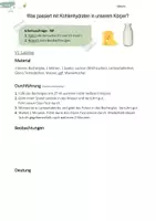 Vorschau - Stundenentwürfe - Enzyme Mittelstufe | Versuche - Seite 3