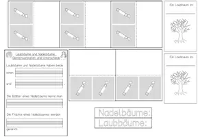Vorschau - Mal- und Bastelvorlagen - Lapbook: Nadelbäume und Laubbäume - Seite 2