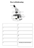 Vorschau - Arbeitsblätter - Aufbau Mikroskop Arbeitsblatt + Interactive (Oberstufe) - Seite 2