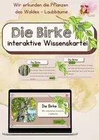 Vorschau - Interaktives Material - Die Birke - interaktive Wissenskartei - Deckblatt