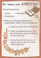 Vorschau - Unterrichtsreihen - Wirbelsäule Unterrichtsreihe - Arbeitsblätter, Versuche, Tafelmaterial, Bildkarten - Seite 2