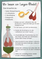 Vorschau - Stundenentwürfe - Unterrichtsreihe Organe - Arbeitsblätter, Versuche, Experimente - Seite 1