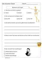 Vorschau - Arbeitsblätter - Quiz zum Knochen Check - mit Lösung - Seite 1