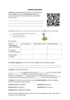 Vorschau - Spiele - Merkmale chemischer Reaktionen mit dem Videospiel Fortnite - Deckblatt