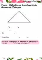 Aperçu - Apprentissages en autonomie - Support : Utilisation du théorème de Pythagore - Page 2