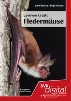 Vorschau - Arbeitsblätter - Lernwerkstatt Fledermäuse (3./4. Klasse) - Deckblatt