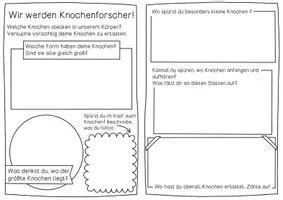Vorschau - Arbeitsblätter - Forscherheft Skelett - Texte, Experimente, Bastelanleitungen & Forschen - Seite 2