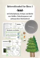 Vorschau - Stundenentwürfe - Wald - Unterrichtseinheit für Klasse 3 und 4 - Seite 1