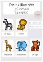 Vorschau - Poster - Les animaux sauvages Bildkarten Tiere - Deckblatt