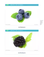 Vorschau - Fördermaterial/Inklusion - Obst und Gemüse - Bild-Wort-Karten - Fotokarten - Bildkarten - gesunde Ernährung - Seite 3