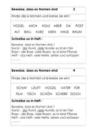 Vorschau - Stationenlernen - Übungskarten Beweise, dass es Nomen sind - Seite 1