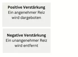 Vorschau - Arbeitsblätter - Operantes Konditionieren Interaktives Lernposter (Piaget) - Seite 2