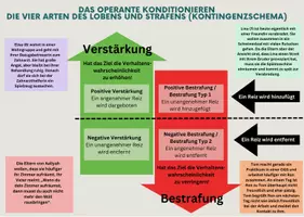 Vorschau - Arbeitsblätter - Operantes Konditionieren Interaktives Lernposter (Piaget) - Deckblatt