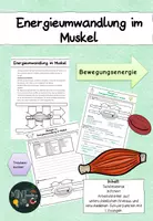 Vorschau - Arbeitsblätter - Mein Körper - Energieumwandlung im Muskel - Deckblatt