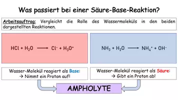 Vorschau - Stundenentwürfe - Ampholyte - Präsentation und Hefteintrag - Seite 1