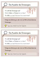 Vorschau - Aufgabenkarten - Unsere Sinne: Aufgabenkarten - Seite 2