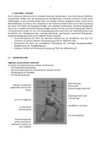 Vorschau - Test - AA1 Volleyball Skript für den Theorietest in der Oberstufe VB Theorie Test - Deckblatt