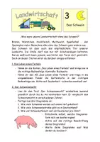 Vorschau - Stundenentwürfe - Landwirtschaft 3 - Das Schwein - Leben und Vermarktung - Deckblatt