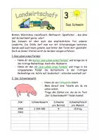 Vorschau - Stundenentwürfe - Landwirtschaft 3 - Das Schwein - Leben und Vermarktung - Seite 1