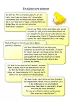 Vorschau - Stundenentwürfe - Landwirtschaft 4 - Das Huhn - Entwicklung und Haltung - Seite 2