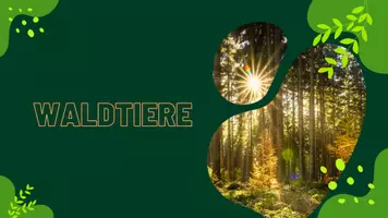 Vorschau - Fördermaterial/Inklusion - Waldtiere - Zootiere Zuordnungsbilder - Seite 2