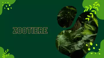 Vorschau - Fördermaterial/Inklusion - Waldtiere - Zootiere Zuordnungsbilder - Seite 3