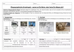 Vorschau - Arbeitsblätter - Bergmann- und Allen-Regel - Arbeitsblatt / Unterrichtsmaterial - Seite 1