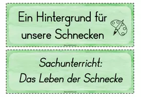 Vorschau - Unterrichtsreihen - Kleine Unterrichtsreihe zu Hundertwasser, Spiralen und Schnecken - Seite 3