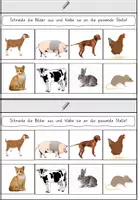 Vorschau - Arbeitsblätter - Mini Leseheft Tiere Klasse 2 - Leseverständnis - Seite 3