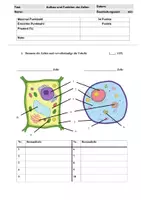 Vorschau - Test - Test/Kurzklausur Multiple Choice Zellaufbau - Deckblatt