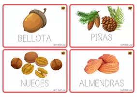 Vista previa - Unidades / Secuencias / Situaciones de Aprendizaje - TARJETAS OTOÑALES DE LECTOESCRITURA - página 2