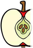 Vorschau - Poster - Der Apfel - Teile des Apfels - Tafelmaterial (analog und digital) - Seite 3