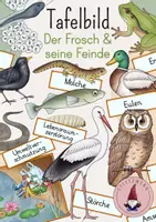 Vorschau - Stundenentwürfe - Tafelbild: Der Frosch & seine Feinde - Deckblatt