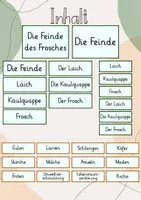 Vorschau - Stundenentwürfe - Tafelbild: Der Frosch & seine Feinde - Seite 1