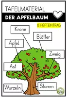 Vorschau - Arbeitsblätter - Apfelbaum - Teile eines Apfelbaums - Tafelmaterial (analog und digital) - Deckblatt