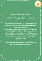 Vorschau - Arbeitsblätter - Amphibien bestimmen - Seite 1