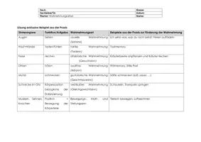 Vorschau - Arbeitsblätter - Wahrnehmungsarten mit Lösung - Seite 3