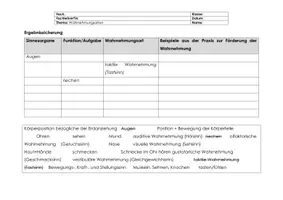 Vorschau - Arbeitsblätter - Wahrnehmungsarten Wahrnehmung - Seite 2